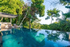 Ocean view tropical luxury home with infinity pool and lush greenery.