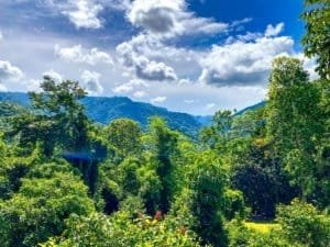 Lush tropical forest with mountain and ocean views in Dominical, Costa Rica.