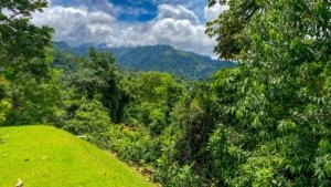 Lush green landscape with mountains and ocean view in Dominical, Costa Rica.