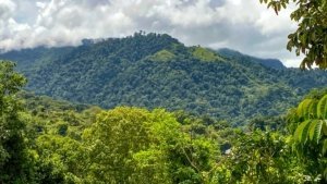 Lush green mountains with cloudy sky in Dominical, Costa Rica.