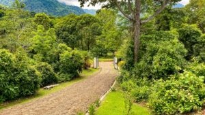 Lush tropical garden with pathway and mountain views in Dominical, Costa Rica.