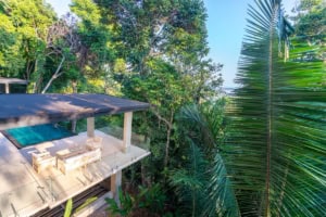 Modern tropical home with infinity pool and lush jungle surroundings.