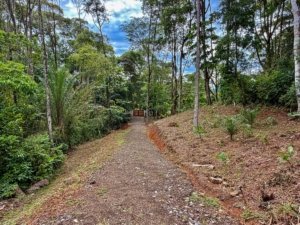 Scenic forest path leading to ocean view estate lot in Dominical.