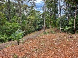 Spectacular ocean view estate lot in Lagunas de Barú, Dominical, Costa Rica.