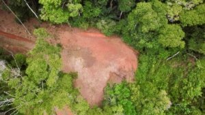 Aerial view of a cleared estate lot surrounded by lush green forest in Dominical.