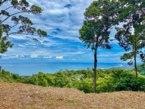Spectacular ocean view from estate lot in Lagunas de Barú, Dominical.