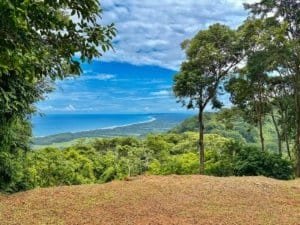 Ocean view estate lot with lush greenery and distant beaches in Dominical.