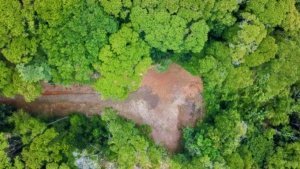 Aerial view of a lush green forest with a cleared land area in the center.
