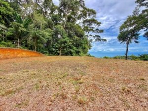 Open land with ocean view, surrounded by lush trees in Dominical.