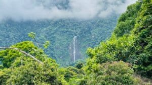 Lush green rainforest with waterfall and mountain in Costa Rica.
