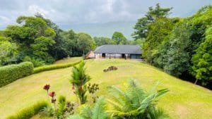 Lush green estate with waterfall view, surrounded by tropical trees and grass.