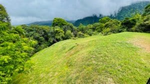 Lush green mountain estate with waterfall and partial ocean view in Dominical.