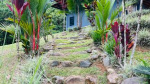 Lush tropical garden with stone pathway and vibrant plants in Dominical.