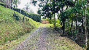 Gravel driveway leading to a mountain estate with trees and water view in Costa Rica.