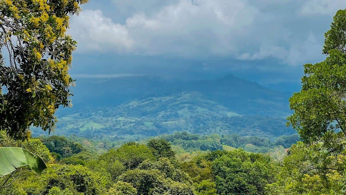 Scenic view of lush green mountains and forest in Dominical, Costa Rica.