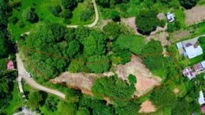 Build-ready 1.8-acre land in Dominical with lush greenery and mountain views.