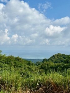 Scenic view of lush green land, ocean, and sky in Dominical, Costa Rica.