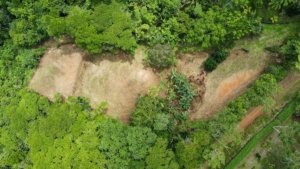 Aerial view of build-ready land with trees and open spaces in Dominical.