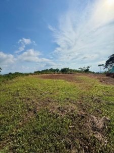 Ready-to-build land with ocean view, lush greenery, and blue sky in Dominical.