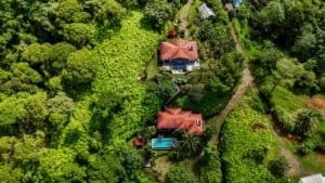 Aerial view of lush green property with two homes and a pool in Dominical.