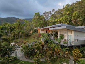 Modern hillside home with panoramic mountain views and lush tropical landscaping.
