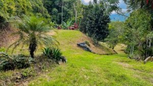 Lush green landscape with trees and a grassy pathway in Dominical, Costa Rica.