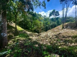 Build-ready 1.8-acre land with mountain views and easy access in Dominical.