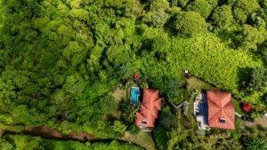 Aerial view of lush green forest with two homes and a pool in Dominical.