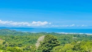 Scenic view of lush green forest and ocean in Dominical, Costa Rica.