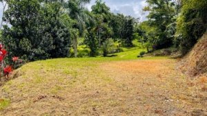 Build-ready property with spacious sites, water, electricity, and road access.