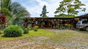 Rustic mountain home with guest cabin and lush garden in Costa Rica.