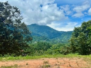 Beautiful mountain landscape with lush greenery and blue sky in Dominical.