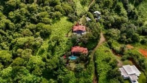 Aerial view of lush green property with houses and forest in Dominical.
