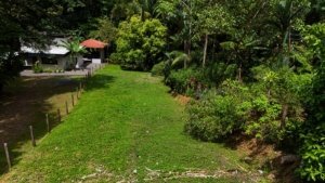 Scenic view of lush green land with creek access near Dominical, Costa Rica.