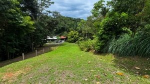 Scenic view of lush Costa Rican land with creek access and nearby homes.