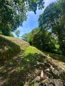 Build-ready land with lush trees and mountain views in Dominical, Costa Rica.