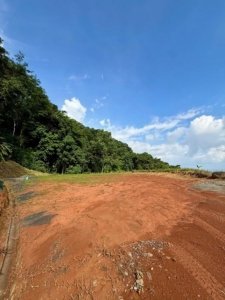 Ready to build land with ocean view, privacy, near coastal highway in Dominical.