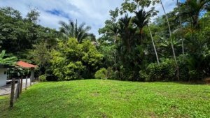 Lush tropical land with creek access near Dominical, Costa Rica.