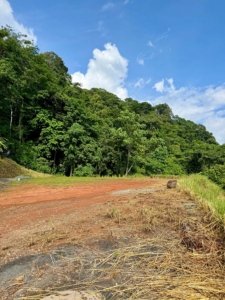 Ready to build land with ocean view, lush greenery, and clear blue sky in Dominical.