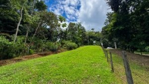 Scenic 0.25-acre land parcel with creek access near Dominical Beach.