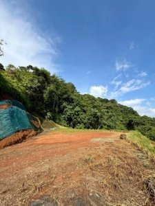 Ready to build land with privacy, near the coast, with ocean views in Dominical.