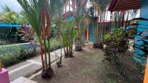Vibrant tropical garden with colorful villas near the beach in Dominical.