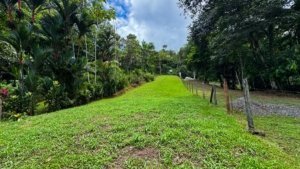 Lush green land with creek access near Dominical, Costa Rica.