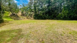 Open grassy lot with trees and lush greenery in Dominical, Costa Rica.