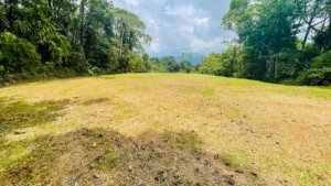 Large cleared land lot in Dominical with lush forest surroundings.