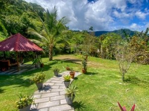 Lush garden with potted plants, palm trees, and mountain view in Dominical.