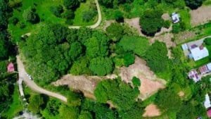Build-ready 1.8-acre land with lush greenery and mountain views in Dominical.