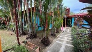 Pathway leading to two villas surrounded by lush tropical plants in Dominical.