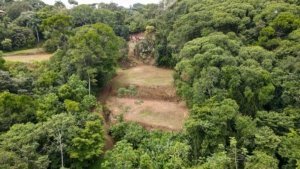 A cleared land plot surrounded by lush green forest in Dominical, Costa Rica.