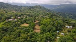 A lush green hillside with scattered houses and dense forest in Dominical.
